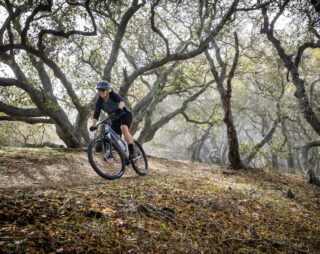 Image of rider Stacey on a trail on a Marin Wildcat Trail bike