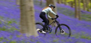 Marin rider Morgane Such, riding amongst the bluebells, UK.